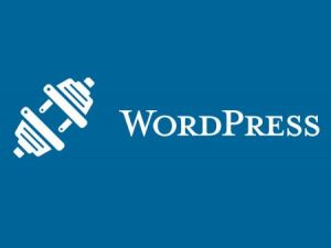 Fakta Penting Mengenai Tema WordPress
