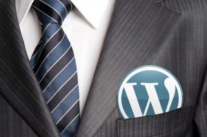 Tips Menjadi Pengembang WordPress Yang Sukses