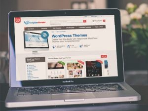 Yang Harus Diperhatikan Dalam Memilih Tema WordPress
