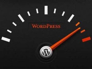 Cara Menghapus Cache WordPress