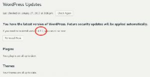 Lihat Versi WordPress Dari Command Line