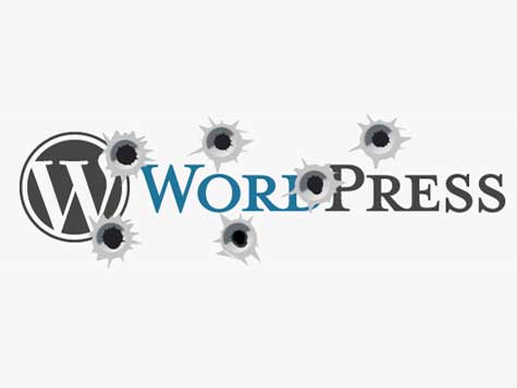 Hacker Incar Website WordPress Yang Tidak Update