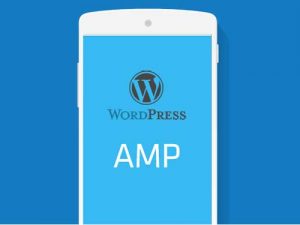 Cara Menggunakan AMP di WordPress