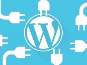 5 Plugin WordPress Penting Untuk Semua Pemula