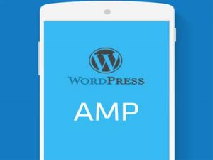 Cara Settings AMP di WordPress