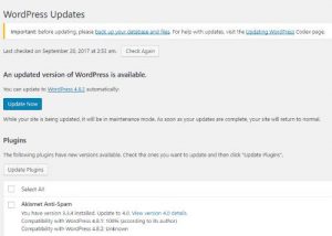 Segera Update ke WordPress 4.8.2 Security Release