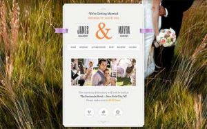 5 Plugin WordPress Untuk Website Pernikahan